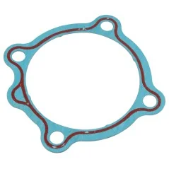 Uszczelka Cedrus glebogryzarka GLX540