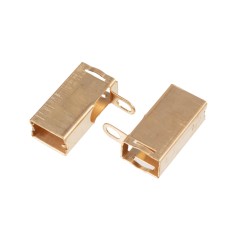 Szczotkotrzymacz silnika Cedrus wertykulator CEDWE40