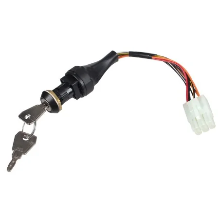 Stacyjka Ariens A25 kpl
CZĘŚĆ ORYGINALNA