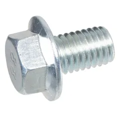 Śruba Cedrus zamiatarka ZM06