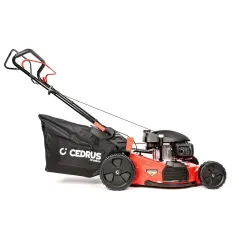 Kosiarka Cedrus Premium z napędem CEDLP53S-H