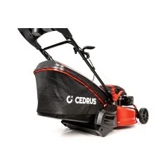 Kosiarka Cedrus z napędem i rolką ugniatającą CEDKS53S-R
