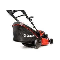 Kosiarka Cedrus z napędem i rolką ugniatającą CEDKS53S-R
