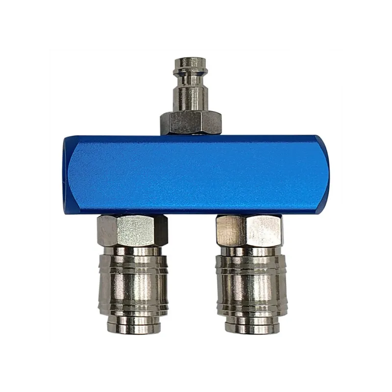 rozgałęźnik R21 T2