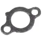Uszczelka króćca wydechu B&S CZĘŚĆ ORYGINALNA
