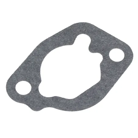 Uszczelka gaźnik-filtr Cedrus wertykulator WR01