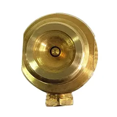 zawór dwukierunkowy do Sodastream Tr21x4 Sherman