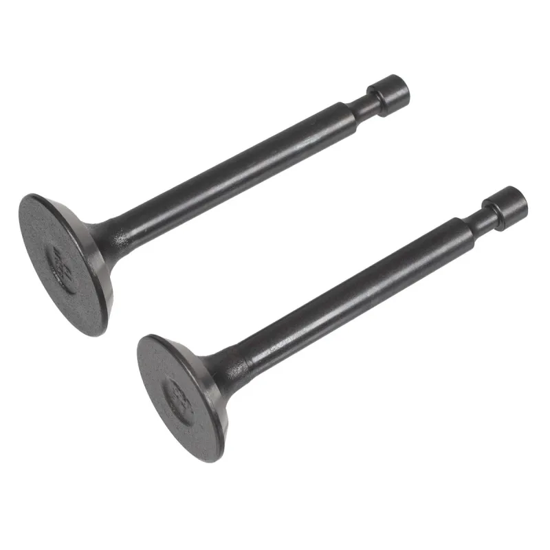 Zawory silnika Loncin kpl. LC1P65FA 1P65FE CZĘŚĆ ORYGINALNA Zawory silnika Loncin kpl. LC1P65FA 1P65FE CZĘŚĆ ORYGINALNA