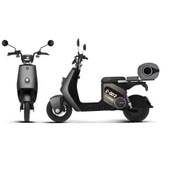 Cedrus C-GO-2G-ZQQ2 Electric Scooter Grey, NFC, Removable Battery