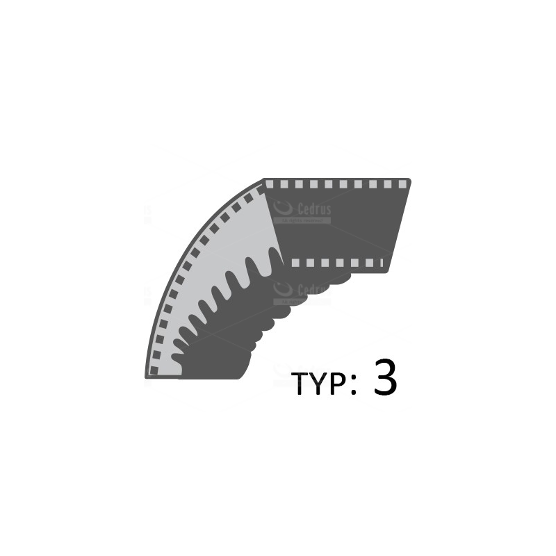 Pasek Cedrus koparka łańcuchowa CEDKP02 /17x1028/