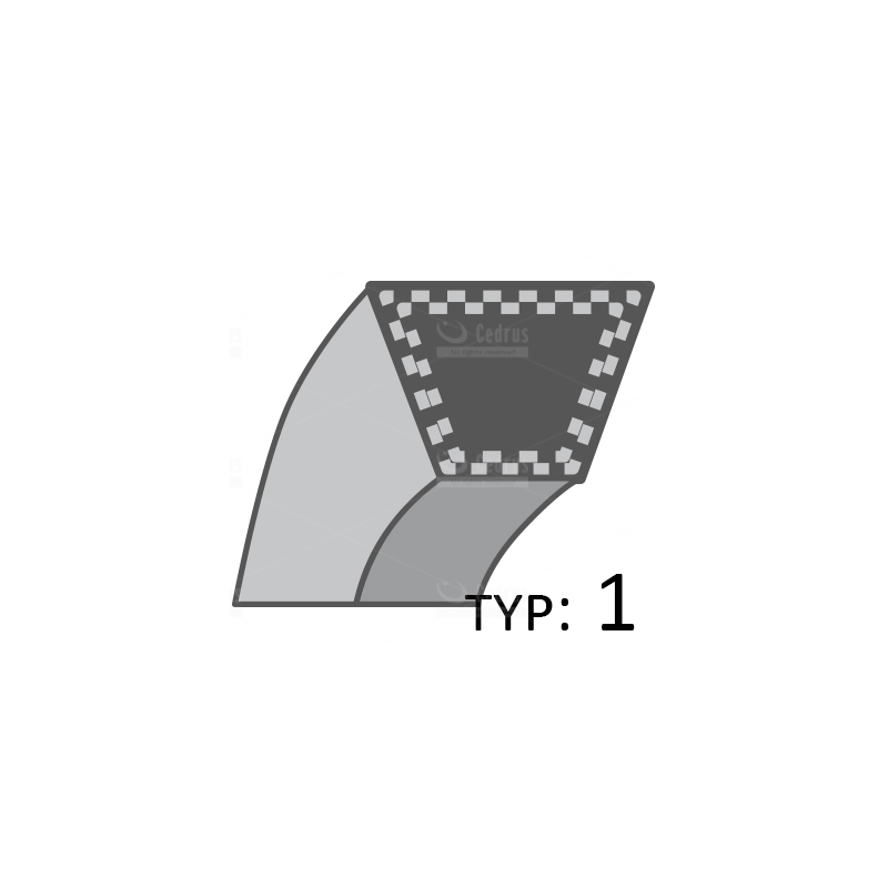 Pasek Weibang WBGT6813 CZĘŚĆ ORYGINALNA 12x1038/