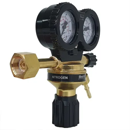 Reduktor seria MAXI azot RX-AZ