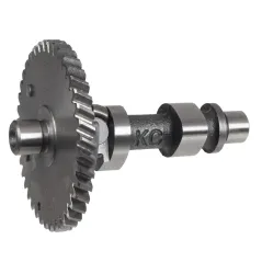 Wałek rozrządu Rato silnik R100-V CEDRUSGL50