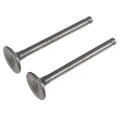 Zawory kpl. Rato silnik R100-V CEDRUSGL50