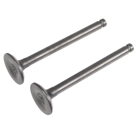 Zawory kpl. Rato silnik R100-V CEDRUSGL50