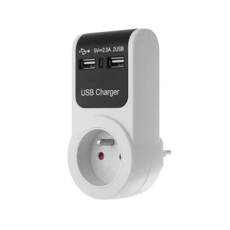 Zasilacz sieciowy wtyczkowy +2xgniazda USB GB101