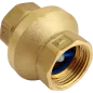 Zawór zwrotny seria Pionier 3/4" W/W