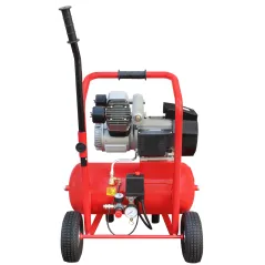 Sprężarka tłokowa kompresor Shamal HD 65DV/24 330/24 1450 obr 230V 10 bar