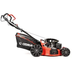 Kosiarka z napędem Cedrus CEDKS53S-L doskonałość w ogrodzie