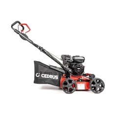 Wertykulator do trawnika Cedrus CEDWR01-B dla Twojego ogrodu