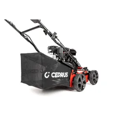 Wertykulator do trawnika Cedrus CEDWR01-B dla Twojego ogrodu