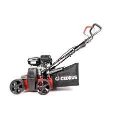 Wertykulator do trawnika Cedrus CEDWR01-B dla Twojego ogrodu