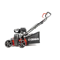 Wertykulator do trawnika Cedrus CEDWR01-B dla Twojego ogrodu