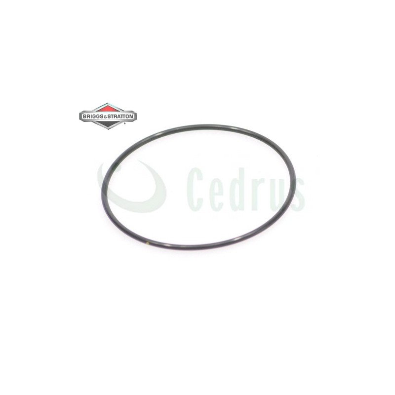 Uszczelka komory pływakowej B&S Intek V-Twin SERIES 7000 8000 CZĘŚĆ ORYGINALNA Uszczelka komory pływakowej B&S Intek V-Twin SERIES 7000 8000 CZĘŚĆ ORYGINALNA