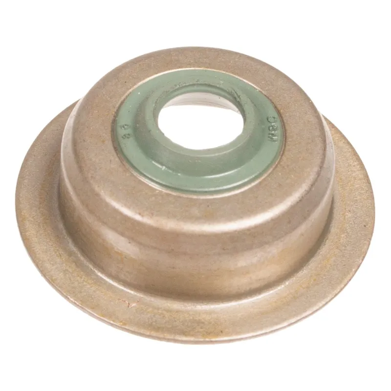 Uszczelniacz zaworu Rato silnik R100 RV145 Uszczelniacz zaworu Rato silnik R100 RV145