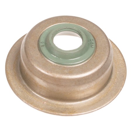 Uszczelniacz zaworu Rato silnik R100 RV145