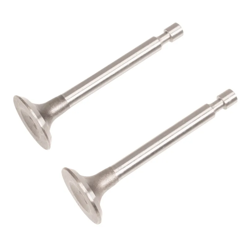 Zawór ssący/wydechowy Rato silnik RV125 RV145