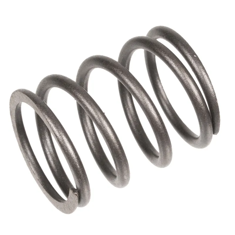 Sprężyna Rato silnik R100