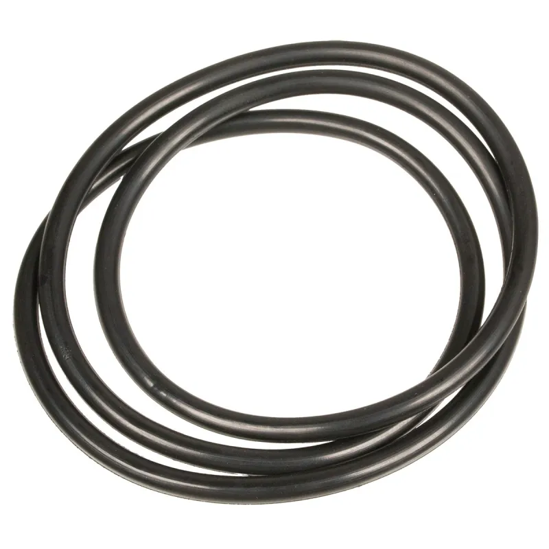 Uszczelniacz o-ring pompy Rato Uszczelniacz o-ring pompy Rato