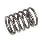 Sprężyna zaworu Rato silnik R60i