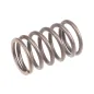 Sprężyna zaworu Rato silnik R440