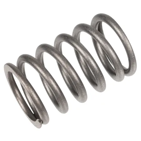 Sprężyna zaworu Rato silnik R300