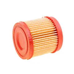 Filtr powietrza Tecumseh