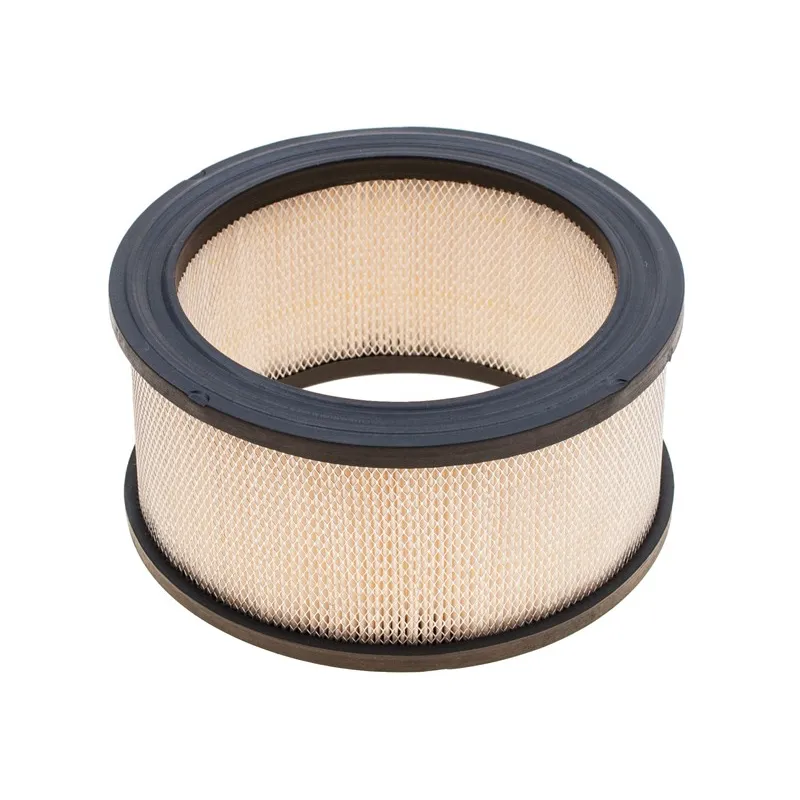 Filtr powietrza Kohler