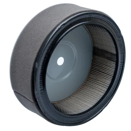 Filtr powietrza Robin EH65