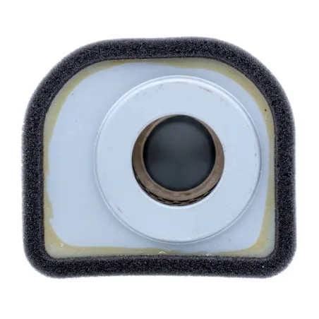 Filtr powietrza Kawasaki 5.5 HP FA210