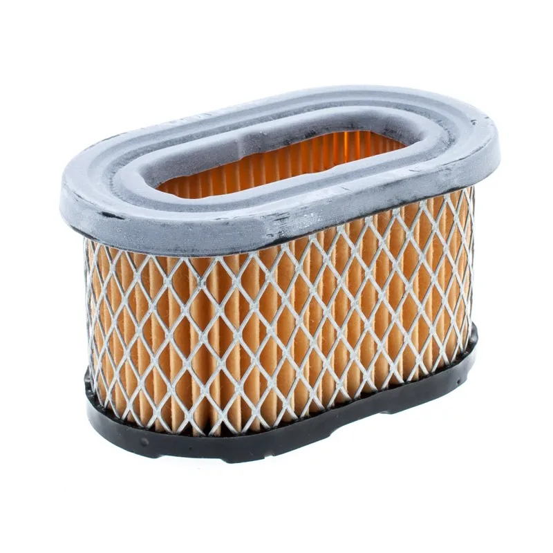 Filtr powietrza B&S owalny Europa i Quantum wybrane modele Filtr powietrza B&S owalny Europa i Quantum wybrane modele