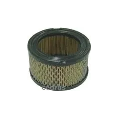 Filtr powietrza Tecumseh 8Hp