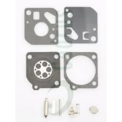 Zestaw naprawczy gaźnika MTD700SK31