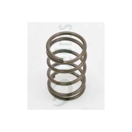 Sprężyna zaworów Honda GX160 CZĘŚĆ ORYGINALNA