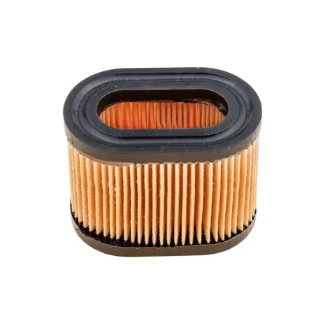 Tecumseh 5.5 HP Centura Air Filter