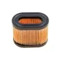 Filtr powietrza Tecumseh 5.5 HP Centura Filtr powietrza Tecumseh 5.5 HP Centura