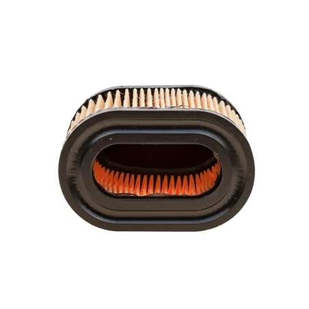 Luftfilter Tecumseh 5,5 HP Centura