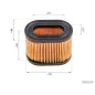 Filtr powietrza Tecumseh 5.5 HP Centura Filtr powietrza Tecumseh 5.5 HP Centura