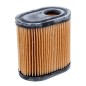 Filtr powietrza Tecumseh 4.5-5.5HP Filtr powietrza Tecumseh 4.5-5.5HP