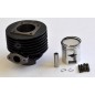 Cylinder Robin EC10 /50mm/kpl.